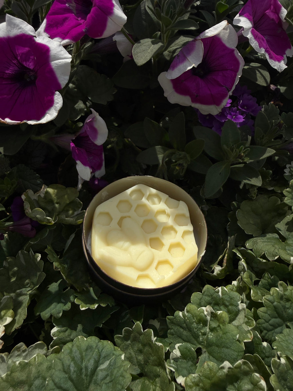 Lotion Bars